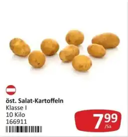 Kastner öst. Salat-Kartoffeln Angebot
