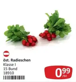 Kastner öst. Radieschen Angebot
