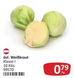 Kastner öst. Weißkraut Angebot