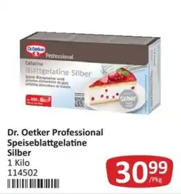 Kastner Dr. Oetker Professional Speiseblattgelatine Silber Angebot