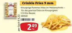 Kastner McCain Crinkle Fries 9 mm Angebot
