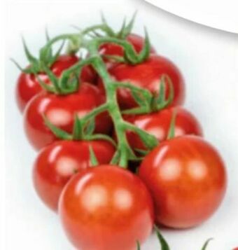 Eurospar Rispentomaten Angebot