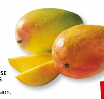 SPAR Gourmet Mango Angebot