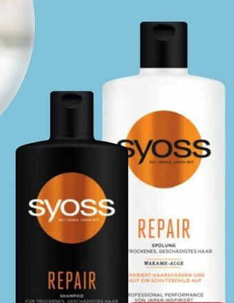 Spar Shampoo Angebot