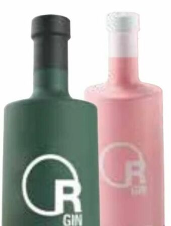 Interspar Organic Gin Angebot