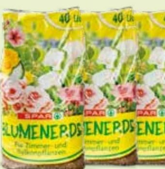 Interspar Blumenerde Angebot