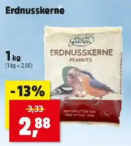 Thomas Philipps Birds Garden Erdnusskerne Angebot