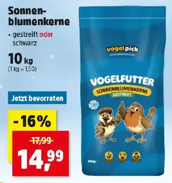 Vogelpick Vogelfutter Sonnenblumenkerne gestreift