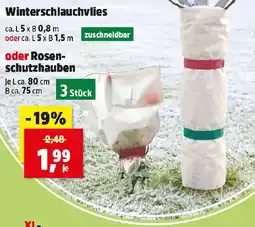 Thomas Philipps Winterschlauchvlies oder Rosen-schutzhauben Angebot