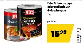 Felix Gulaschsuppe