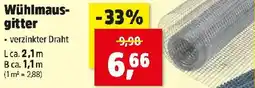 Thomas Philipps Wühlmausgitter Angebot