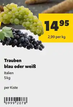 Eurogast Grissemann Trauben blau oder weiß Angebot