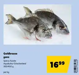 Eurogast Grissemann Goldbrasse ganz Angebot