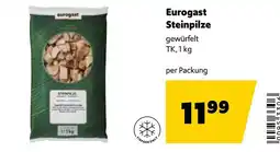 Eurogast Grissemann Eurogast Steinpilze Angebot