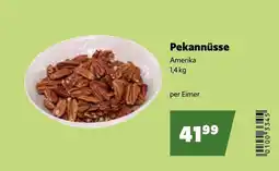Eurogast Grissemann Pekannüsse Angebot