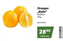 Eurogast Grissemann Orangen "Bollo" Angebot