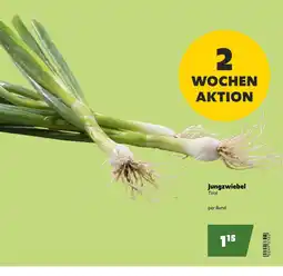 Eurogast Grissemann Jungzwiebel Tirol Angebot