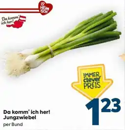 Billa Da komm' ich her! Jungzwiebel Angebot