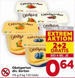 Billa Obstgarten Angebot