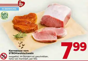 Billa Karreerose vom STROHwohlschwein Angebot