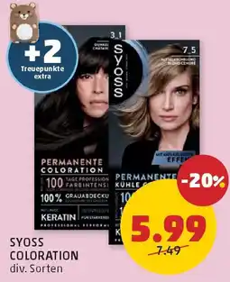 PENNY Syoss Coloration Angebot