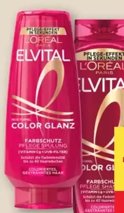 MPreis L'Oréal Paris Elvital Shampoo Angebot