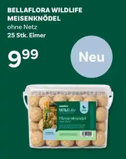 Bellaflora Bellaflora Wildlife Meisenknödel Angebot