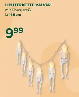 Bellaflora Lichterkette 'Calvar' Angebot