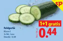 Lidl Feldgurke Angebot