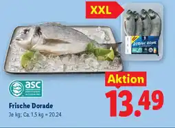 Lidl Frische Dorade Angebot