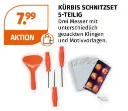 Müller Kürbis Schnitzset Angebot