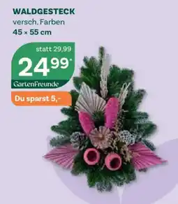 Bellaflora Waldgesteck GartenFreunde Angebot