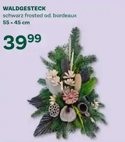 Bellaflora Waldgesteck Angebot
