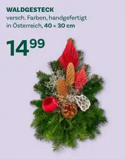 Bellaflora Waldgesteck Angebot