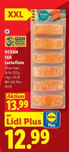 Lidl Ocean Sea Lachsfilets Angebot