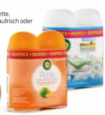 Hofer Lufterfrischer Pure Angebot