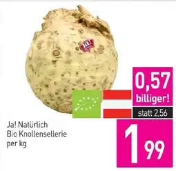 Sutterlüty Ja! Natürlich Bio Knollensellerie Angebot