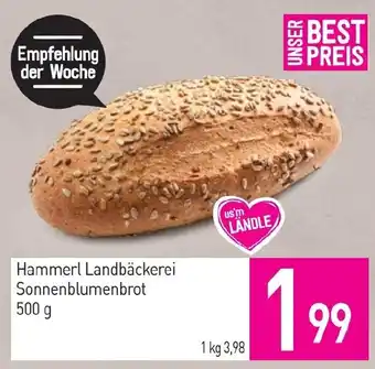 Hammerl Landbäckerei Sonnenblumenbrot