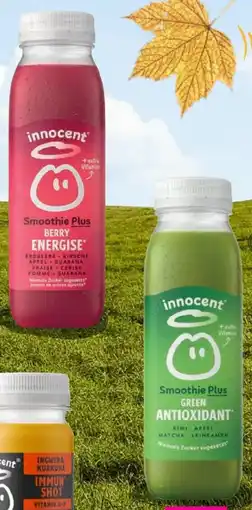 Sutterlüty Innocent Smoothie Plus Angebot