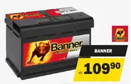 Forstinger Banner Power Bull Angebot