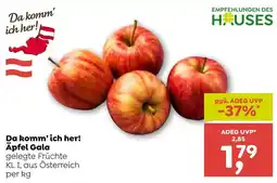 ADEG Äpfel Gala Angebot