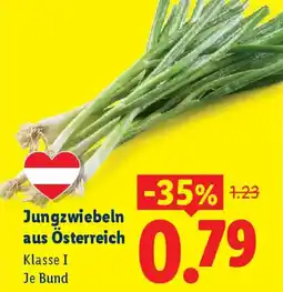 Lidl Jungzwiebeln aus Österreich Angebot