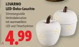 Lidl LIVARNO LED-Deko-Leuchte Angebot