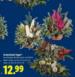 Lidl Grabschale/leger Angebot