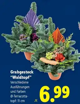 Lidl Grabgesteck "Waldtopf" Angebot