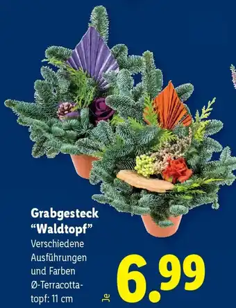 Lidl Grabgesteck "Waldtopf" Angebot
