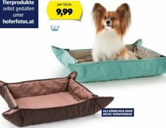 Hofer Hundebett Angebot