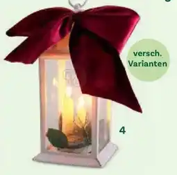 Bellaflora Laterne Angebot