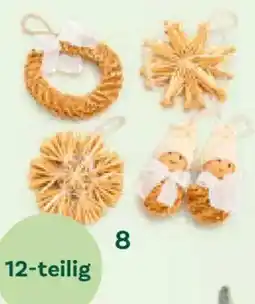 Bellaflora Strohsterne-set Angebot