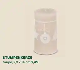 Bellaflora Stumpenkerze taupe Angebot